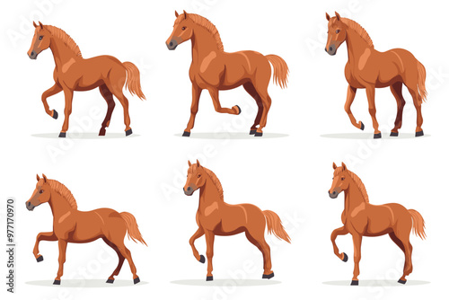 Horse poses. Wild horses walking or gallop running pose, arabian mare farm animal hoof gait trotter run grazing thoroughbred, set cartoon ingenious vector illustration of animal wild stallion design