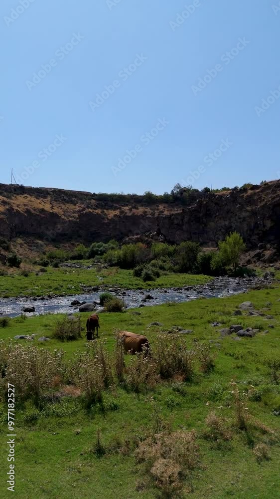 Canyon and river along . Amazing landscape mountains and river. Aerial footage of a drone flying Canyon and river along . Amazing landscape mountains and river. Aerial footage of a drone flying