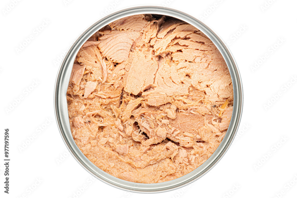 Cutout of tuna meat in an opened tin can Cutout of tuna meat in an opened tin can