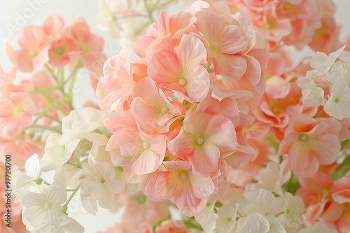 Delicate Pastel Pink Hydrangea Flowers, Soft Floral Background, Romantic, Nature Aesthetic