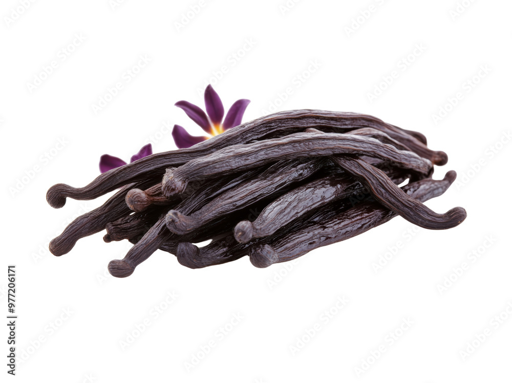 A minimalistic arrangement of vanilla pods and a vanilla flower, set against a clean white background, highlighting the simple elegance of the natural ingredients A minimalistic arrangement of vanilla pods and a vanilla flower, set against a clean white background, highlighting the simple elegance of the natural ingredients