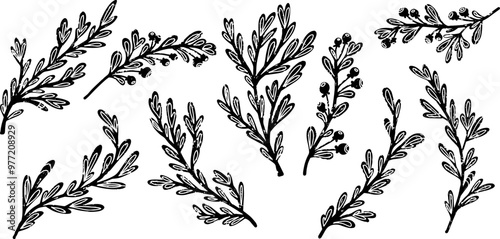 Set of branches with leaves and berries. Linocut style element texture surface vector