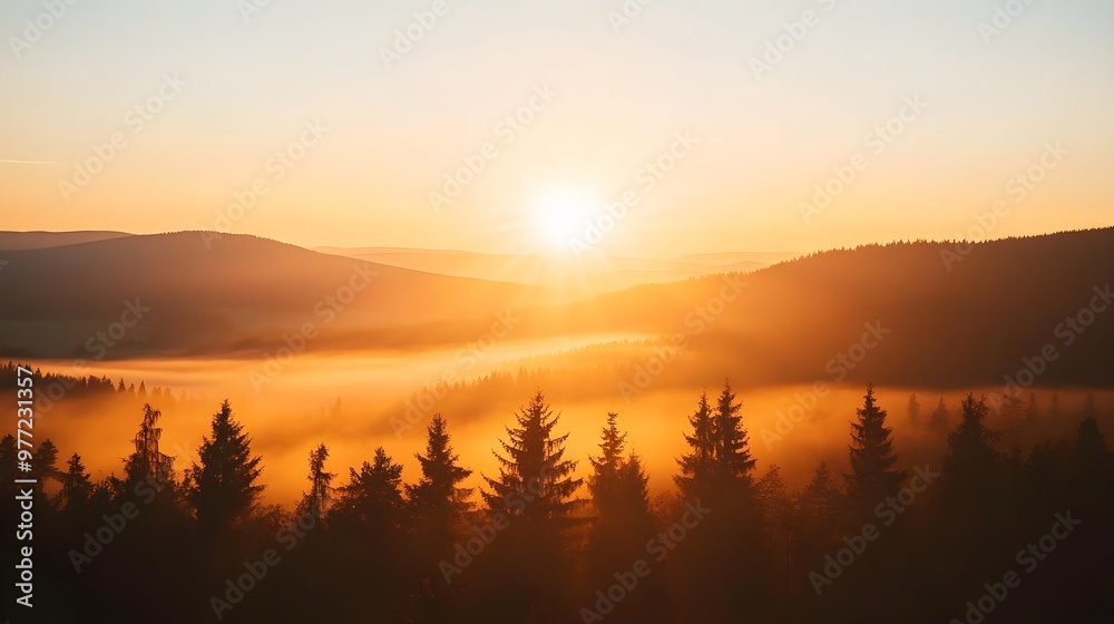 A serene sunrise over a misty forest, highlighting the beauty of nature and the calmness of a new day.