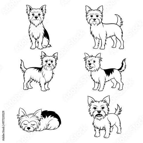 Yorkshire terrier dog standing and lying down, crouching and sleeping. Set of vector sketches in line art style