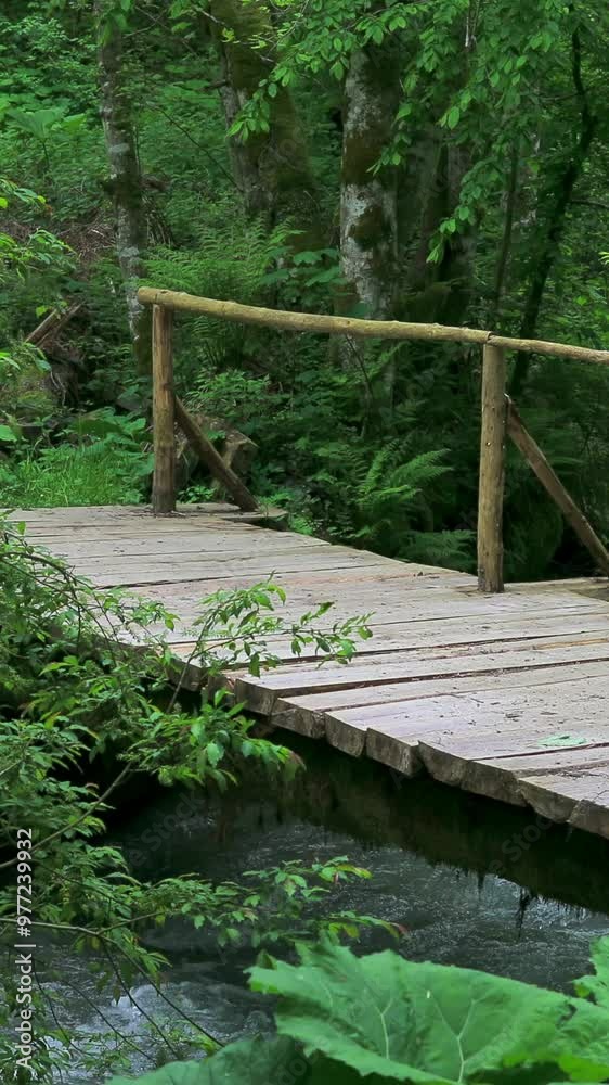Wooden Bridge Over a Mountain Stream in Early Spring Wooden Bridge Over a Mountain Stream in Early Spring
