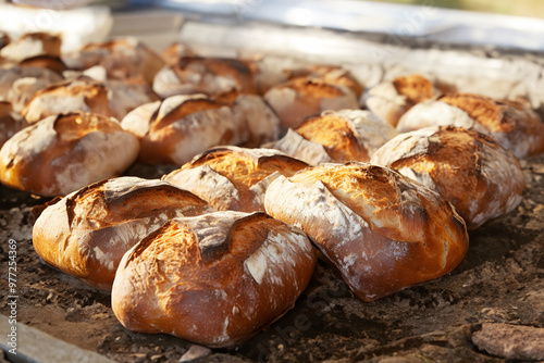  Baking Handmade Bread 