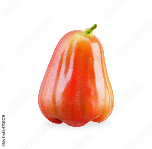 rose apple fruit isolated on white background. photo