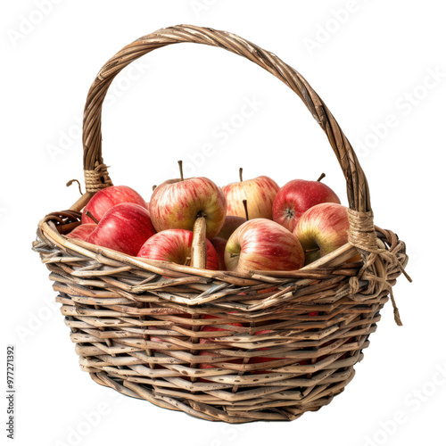 Wicker basket overflowing with freshly picked red ripe apples on white background photo