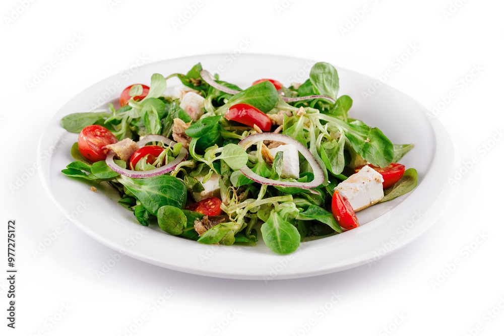 Fresh tuna salad with lettuce, tomatoes and feta cheese on white plate Fresh tuna salad with lettuce, tomatoes and feta cheese on white plate