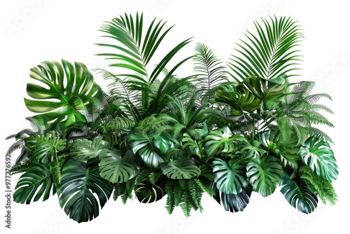 Group of tropical plants against a white background