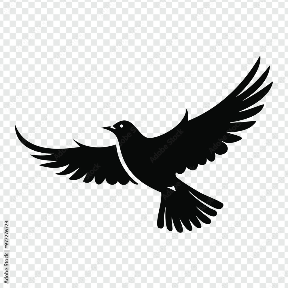 Obraz premium dove in flight