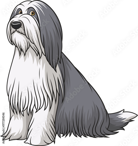 Cartoon obedient bearded collie sitting vector illustration