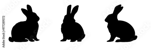 Shadow vector of a rabbit
