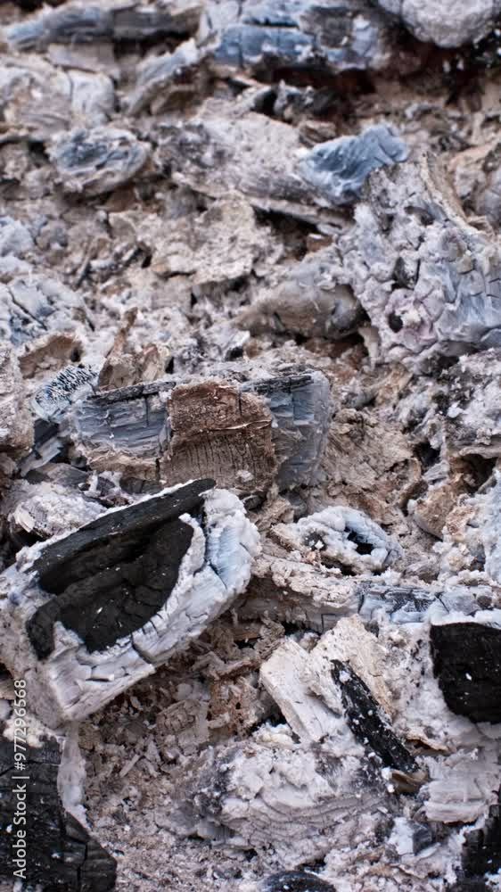 Ash and Charcoal Remnants From a Recently Extinguished Campfire in a Woodland Area During Dusk Ash and Charcoal Remnants From a Recently Extinguished Campfire in a Woodland Area During Dusk