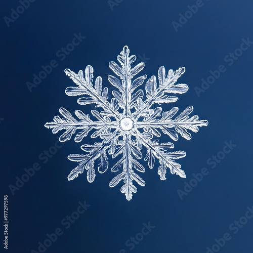 59. A single white snowflake isolated on a clean blue background