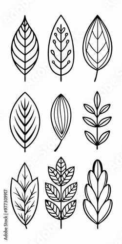 Set of nine hand-drawn leaves, featuring a variety of shapes and styles. Perfect for adding a touch of nature to your designs, these leaves are ideal for invitations, cards, patterns, and more.