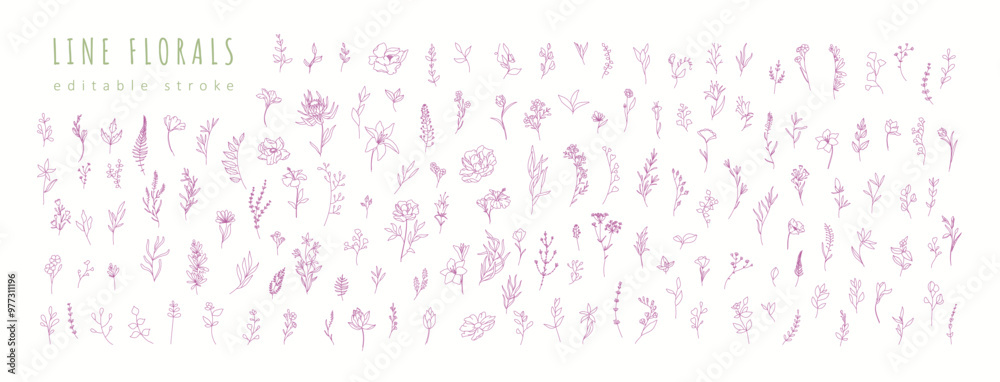 Set of different flowers and brunch from flat editable stroke. Luxury line floral collection for wedding invitation art, design template of save the date card. Botanical vector illustration Set of different flowers and brunch from flat editable stroke. Luxury line floral collection for wedding invitation art, design template of save the date card. Botanical vector illustration