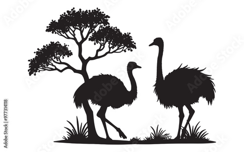 ostrich silhouette vector illustration photo