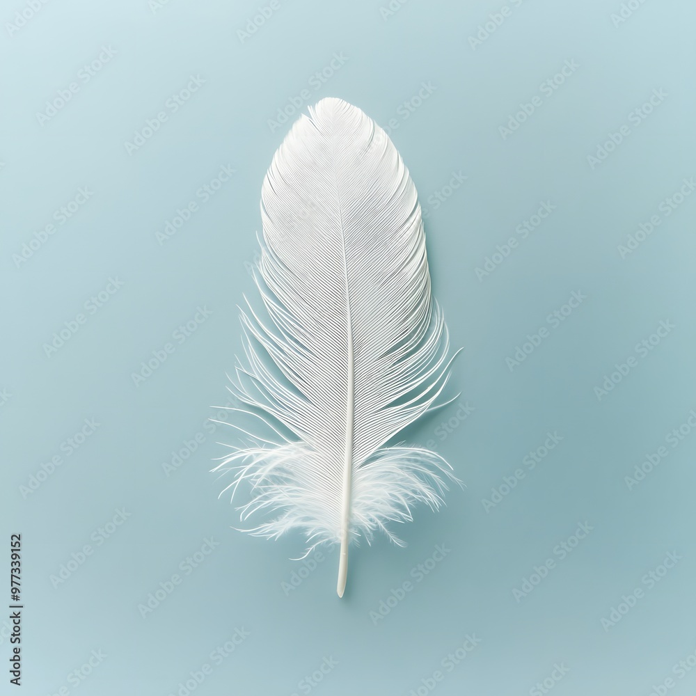 21. A pristine white swan feather isolated on a pale blue background 21. A pristine white swan feather isolated on a pale blue background