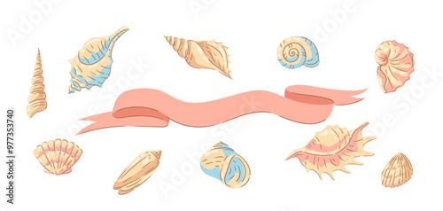 Background with seashells. Tropical underwater mollusk shells illustration.