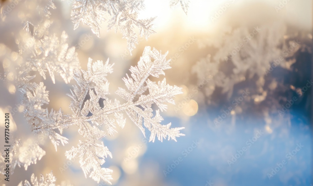 A snowflake is captured in a close up of a branch A snowflake is captured in a close up of a branch
