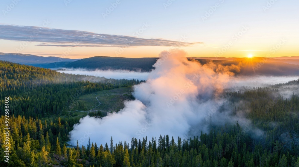 A misty forest with a large cloud of smoke in the distance A misty forest with a large cloud of smoke in the distance