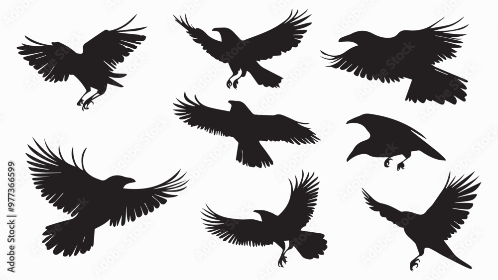 Obraz premium Set of black bird silhouettes. Vector elements for design.