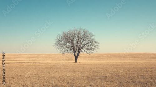 A solitary tree stands against a vast field of dry grass, evoking themes of endurance and isolation.