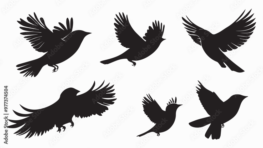 Set of black bird silhouettes. Vector elements for design. Set of black bird silhouettes. Vector elements for design.