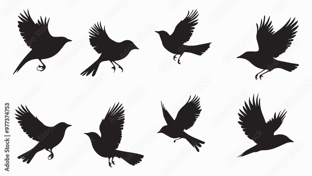 Set of black bird silhouettes. Vector elements for design. Set of black bird silhouettes. Vector elements for design.