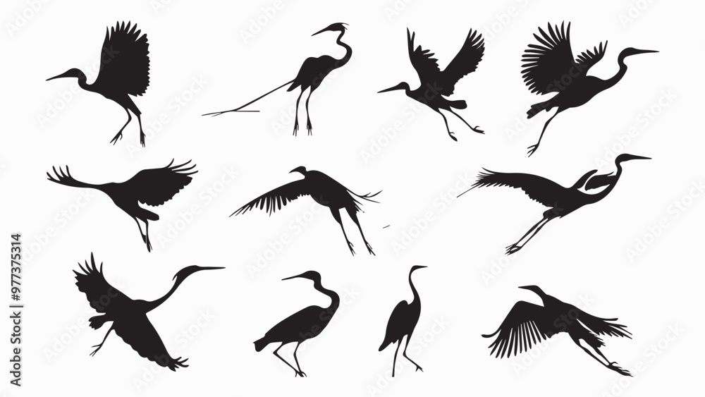 Obraz premium Set of black bird silhouettes. Vector elements for design.
