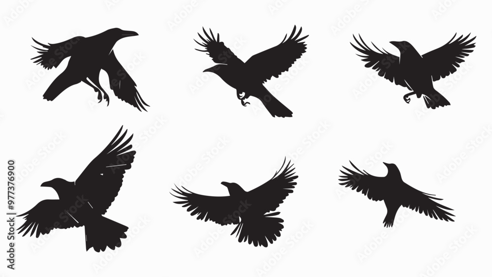Set of black bird silhouettes. Vector elements for design. Set of black bird silhouettes. Vector elements for design.