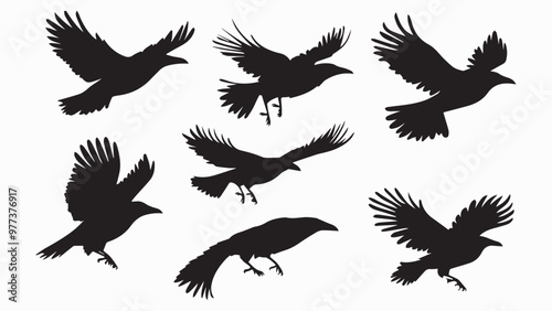 Set of black bird silhouettes. Vector elements for design.