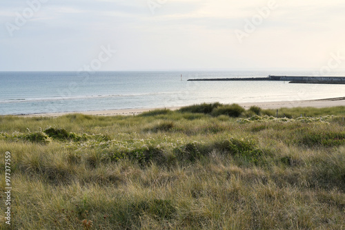 Coast with dunes in Barneville-Carteret in Cotentin peninsula in France photo