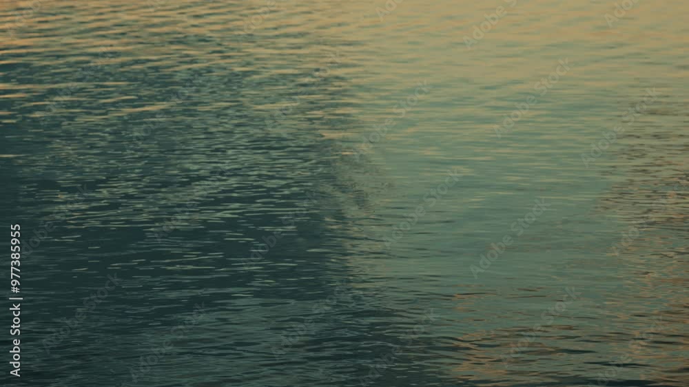 Water surface at sunset. Golden sunlight on the rippling lake at sunset, slow motion. Water surface at sunset. Golden sunlight on the rippling lake at sunset, slow motion.