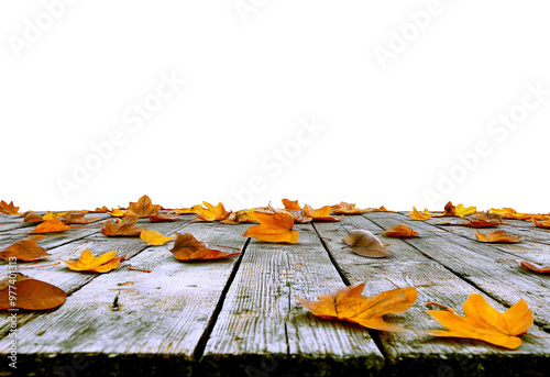 A collection of vibrant autumn leaves scattered across a weathered wooden surface.

