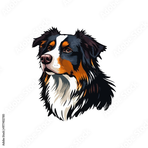 Australian shepherd dog. Vector illustration of Australian shepherd dog.