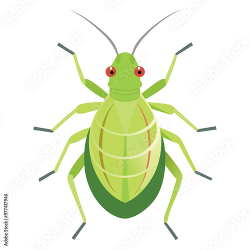 An Aphid Minimalist vector illustration isolated on a white background