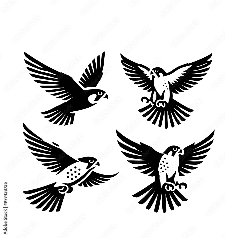 set of falcon illustration graphic design black and white vector clip art silhouette set of falcon illustration graphic design black and white vector clip art silhouette