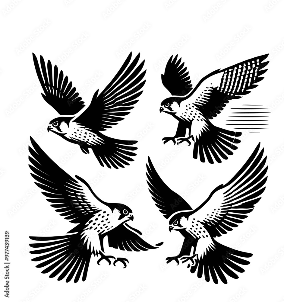 Fototapeta premium set of falcon illustration graphic design black and white vector clip art silhouette
