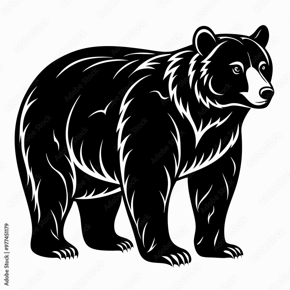 Bear Black vector silhouette Bear Black vector silhouette
