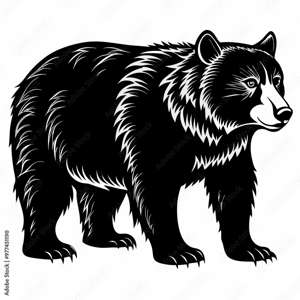Bear Black vector silhouette Bear Black vector silhouette