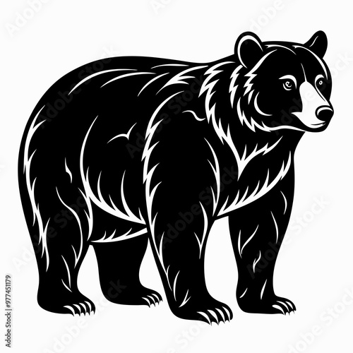 Bear Black vector silhouette