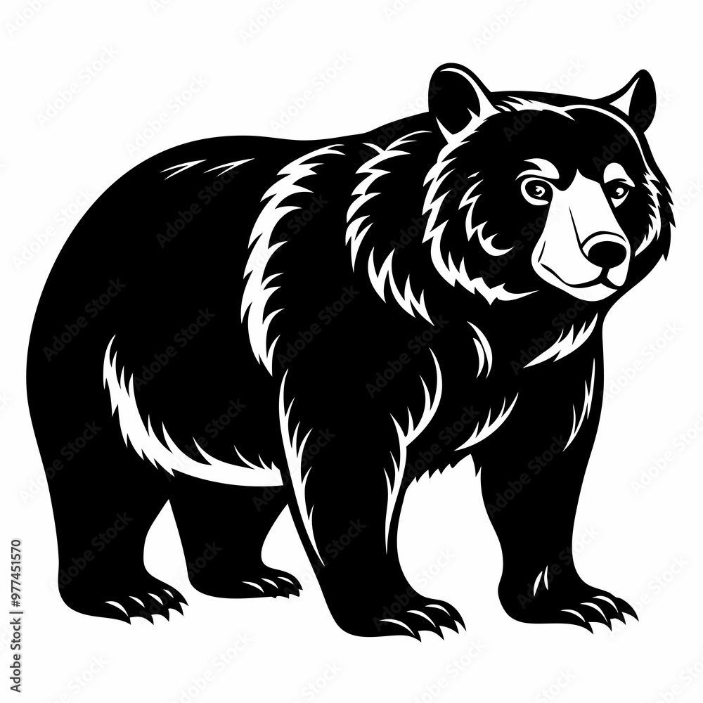 Bear Black vector silhouette Bear Black vector silhouette