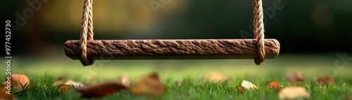 Wooden Swing Seat Over Green Grass With Autumn Leaves. photo