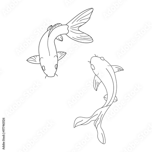 Koi karps Vector isolated two Koi karps top view simple minimal line drawing
