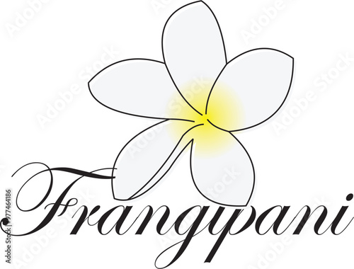 The “Frangipani Flower Logo” illustration features a frangipani flower with a minimalist and elegant design, using clean lines and subtle details, ideal for branding that emphasizes beauty and freshne