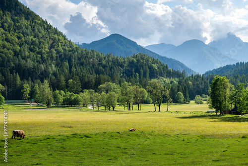 Alpine landscape at Zgorne Jezersko village in Slovenia at summer