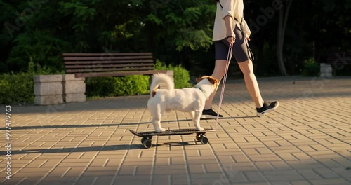Side view of a white dog jumping on a skateboard and riding down an alley with its owner in a park in summer