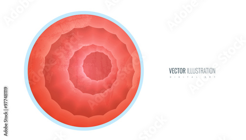 Gut and stomach walls realistic illustrations of mucous. Banner concept for medical illustrations, health education, and anatomy studies. Vector illustration.